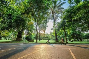 Căn hộ Ecopark Long An có giá bán bao nhiêu? 7 Ecopark Long An - Chốn an lành giữa lòng Long An